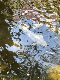 High angle view of reflection in lake