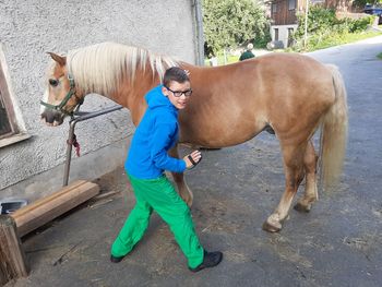 Horses standing outdoors