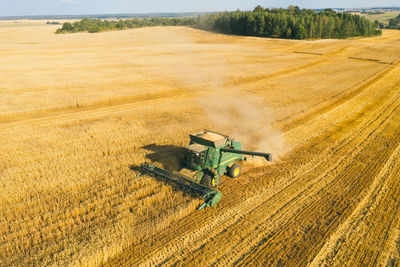 Scenic view of agricultural field