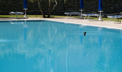 Swimming pool in blue water