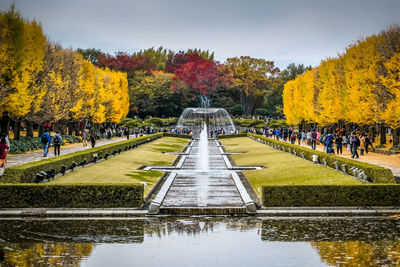 View of fountain and autumn trees  in showa memorial park during fall
