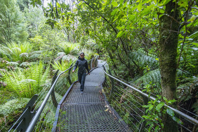 Woman hiking on the triplet waterfall trail in victoria / australia