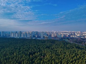 High angle view of trees and buildings in city