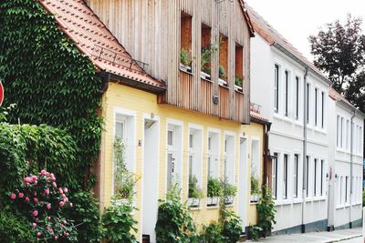 Buildings in a row