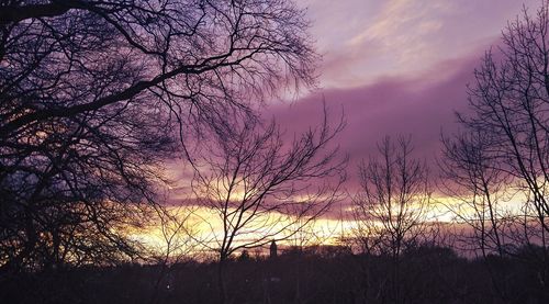 Silhouette of tree against dramatic sky