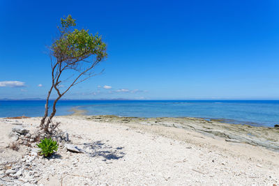 Scenic view of sea against blue sky