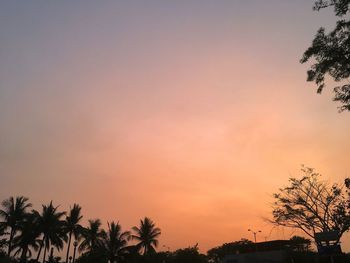 Silhouette palm trees against clear sky