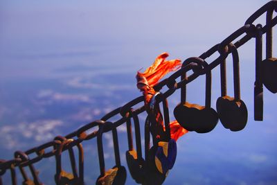 Close-up of padlocks on railing against sky
