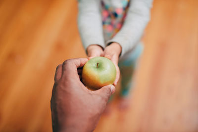 Midsection of woman holding apple