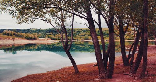Scenic view of trees by lake against sky