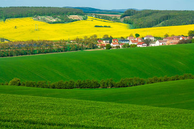 Scenic view of agricultural field against sky