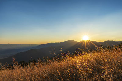 Scenic view of field against sky during sunset