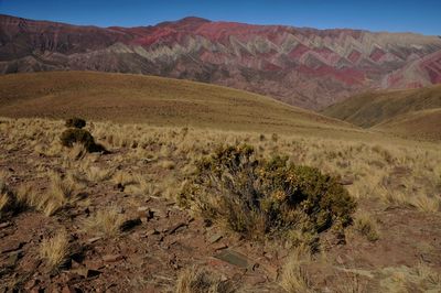 Scenic view of arid landscape against sky