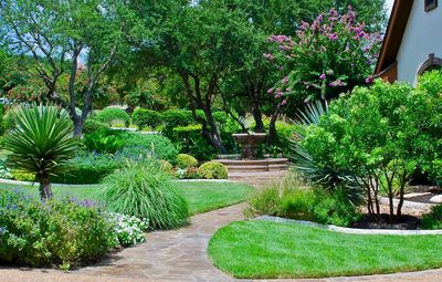 Footpath in garden