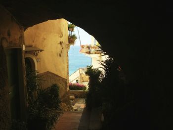 Building with trees in background