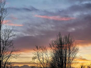 Low angle view of silhouette tree against sky during sunset