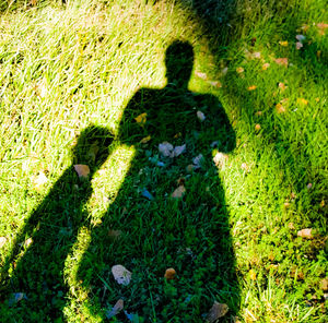 High angle view of man standing on grassy field