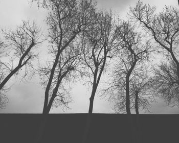 Low angle view of bare trees against sky