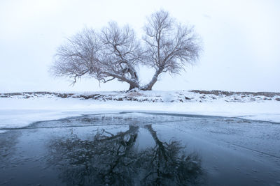 winter