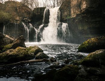 Scenic view of waterfall in forest