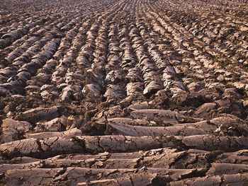 High angle view of rocks on land