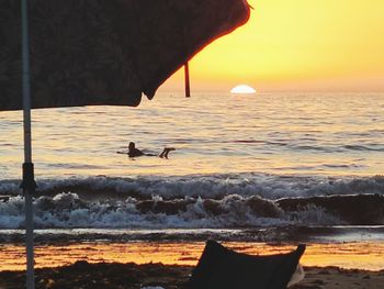 View of seagulls on beach during sunset