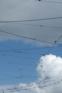 Low angle view of birds perching on cable against sky
