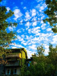 Low angle view of trees and building against sky