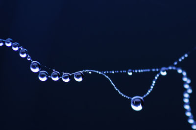 Macro shot of raindrops on spider web