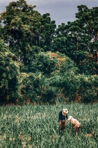 Woman on field by trees