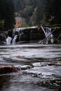 Water flowing over river in forest