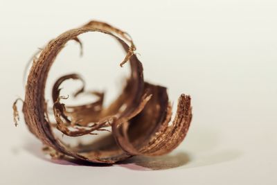 Close-up of pastry against white background