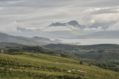 Scenic view of field and mountains against sky