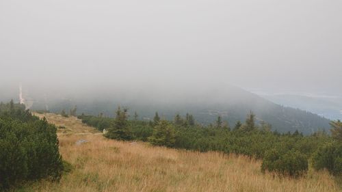 Scenic view of field against sky during foggy weather