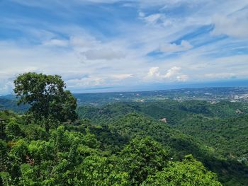 High angle view of trees on landscape against sky