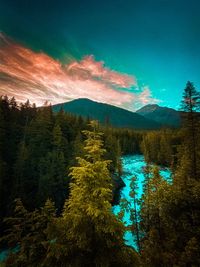 Scenic view of forest by mountains against sky