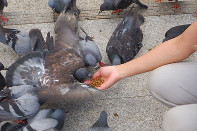 Midsection of person eating food