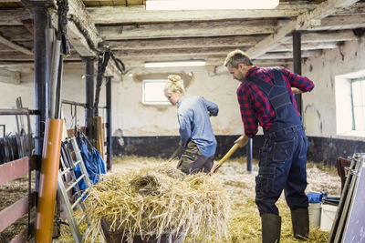 Man and woman standing while spreading hay at barn