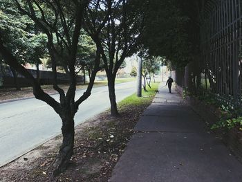 Man walking on road along trees