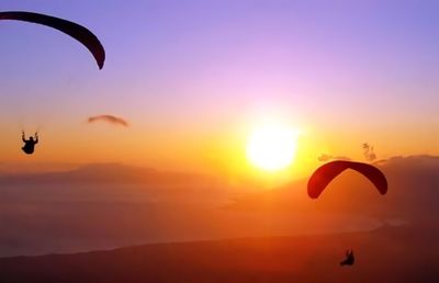 Silhouette people paragliding against sky during sunset