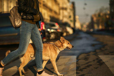 Low section of man with dog standing on footpath