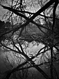 Silhouette bare trees by lake against sky during winter