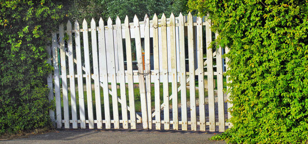 Closed gate of plants