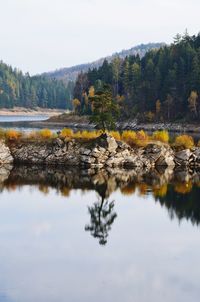 Scenic view of tree on rocky sjore in a lake against sky