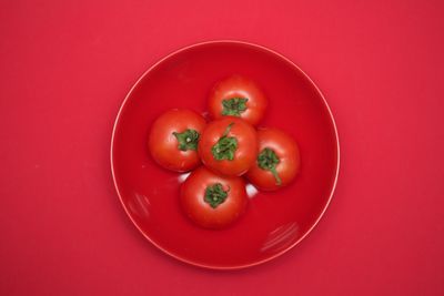 High angle view of tomatoes in bowl