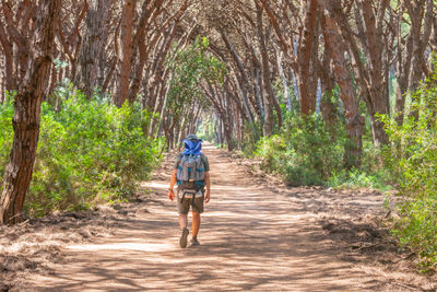 Rear view of man walking on dirt road