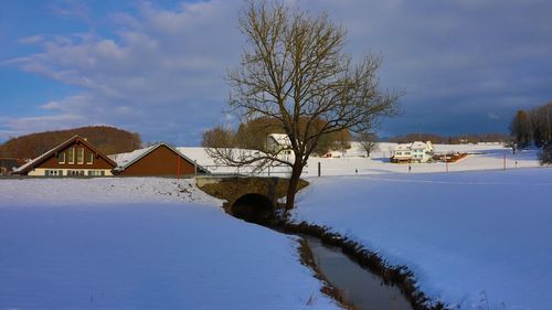 Bare tree and buildings against sky during winter