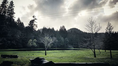 Scenic view of grassy field against cloudy sky