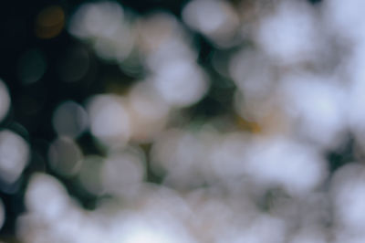 Defocused image of blurred background