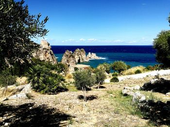 Trees and rocks by sea against sky